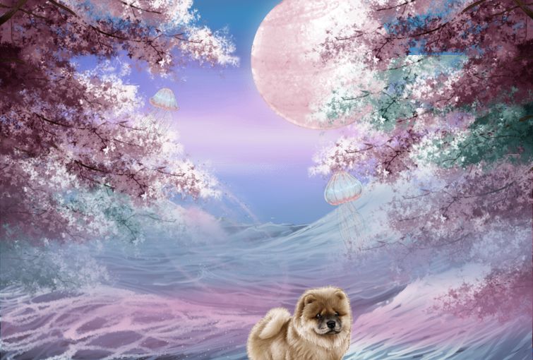 //www.missfashion.pl/api/mobile/piece-img.php?type=jpg&id=61511&pieceid=1&destid=0